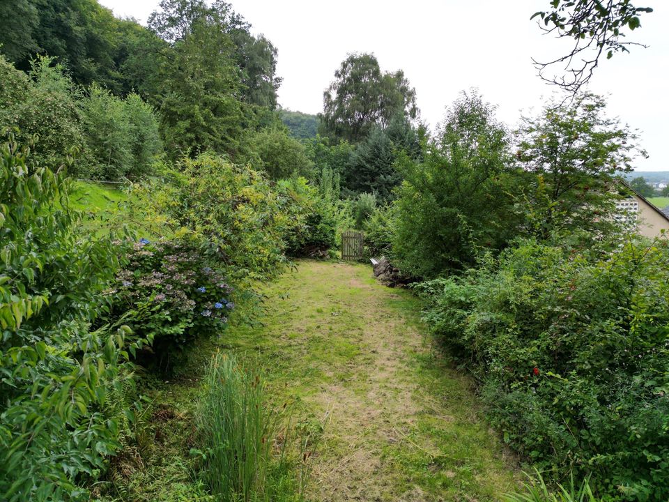 Preisreduzierung! Natur pur direkt am Berg in Bad Essen