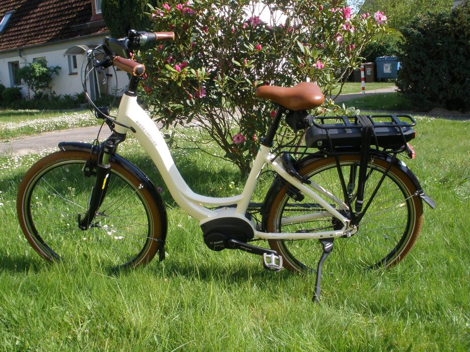 Riese & Müller, E-Bike, Hollandrad: SWING in Ahrensburg