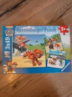 Paw Patrol Puzzle Ravensburger Dresden - Langebrueck Vorschau