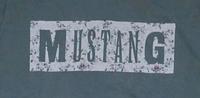 Mustang Damen t-shirt S Brandenburg - Flieth-Stegelitz Vorschau