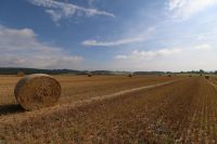 Acker- und Weideland, Wiesen Hessen - Frankenberg (Eder) Vorschau