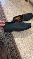 Tod‘s Herrenschuhe Schnürschuhe Nordrhein-Westfalen - Neuss Vorschau