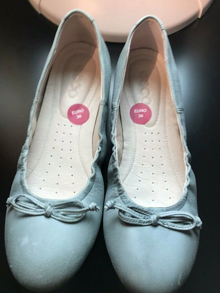 Ecco Ballerinas Schuhe Leder grau taubenblau NEU Gr.36 in Petersberg