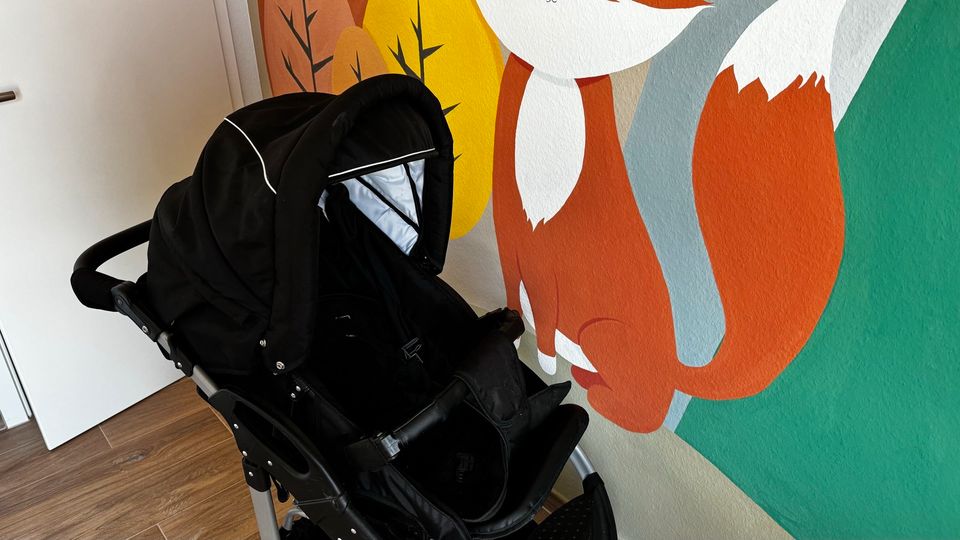 Bergsteiger Capri Kinderwagen in Niederdorfelden