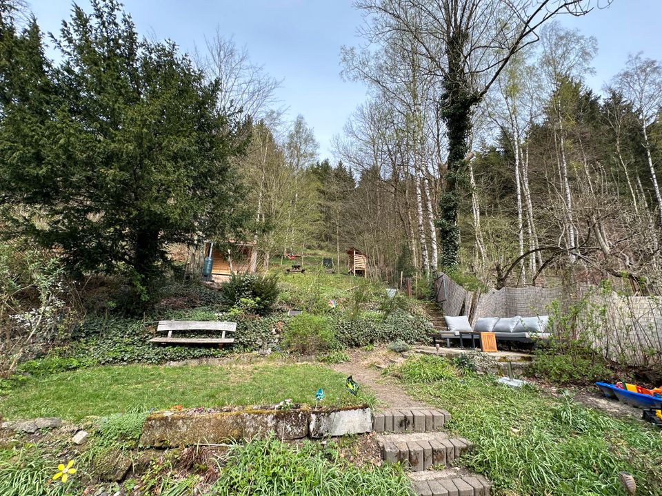 Gemütliches Ferienhaus in der idyllischen Bergstadt Lautenthal in Lautenthal