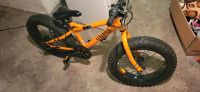 Fahrrad 20" zu verkaufen Niedersachsen - Delmenhorst Vorschau