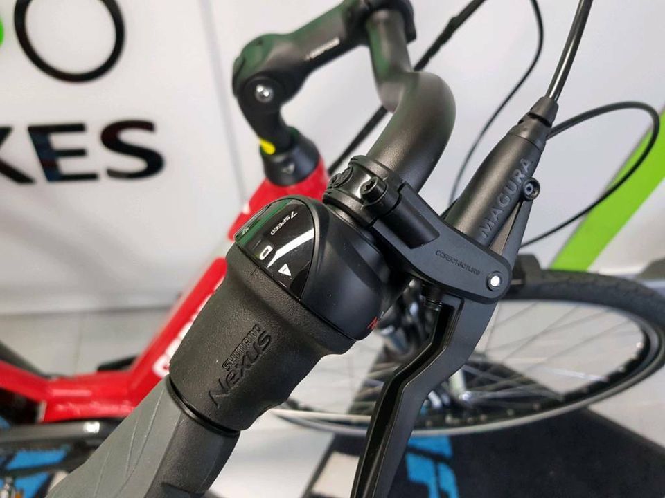 Reptila 1000 Bosch Active Line Nexus E-Bike Pedelec Cityrad in Bottrop