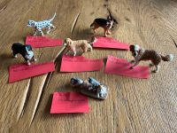 Schleich Reiterhof Tiere Hunde/Katzenjunge Bochum - Bochum-Süd Vorschau