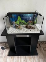 60l Aquarium mit viel Zubehör und Unterschrank Schleswig-Holstein - Neumünster Vorschau