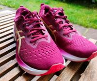 Asics Novablast 2 Lauschuhe Niedersachsen - Hassel (Weser) Vorschau