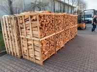 Kaminholz, fest Holz Buche Thüringen - Stotternheim Vorschau