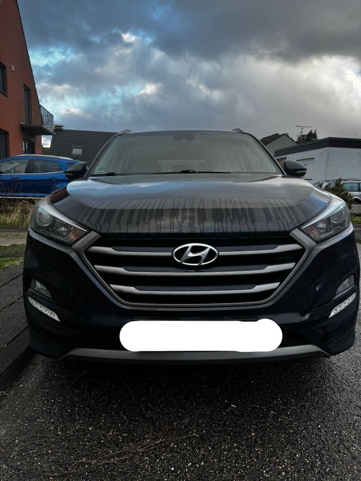 Hyundai Tucson blue 1.6 GDi 2WD Intro Edition in Jüchen