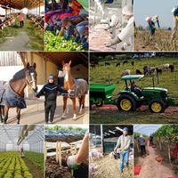 Arbeitskraftvermittlung in der Landwirtschaft München - Altstadt-Lehel Vorschau