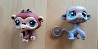 LITTLEST PET SHOP 2 AFFEN Baden-Württemberg - Oberhausen-Rheinhausen Vorschau