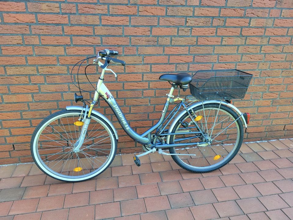 28 Zoll Cityrad Prophete Damenrad Bike Fahrrad in Rendsburg
