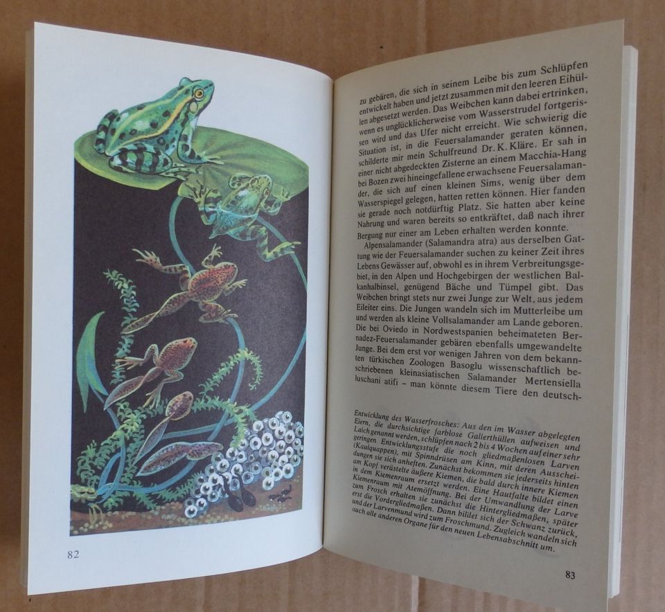 "Vom Wasser- zum Landleben", akzent- Taschenbuchreihe Nr. 16 in Dresden