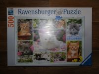 RAVENSBURGER ~ Tier-Puzzle Haustiere ~ 500 Teile ~ Kätzchen Sachsen - Plauen Vorschau