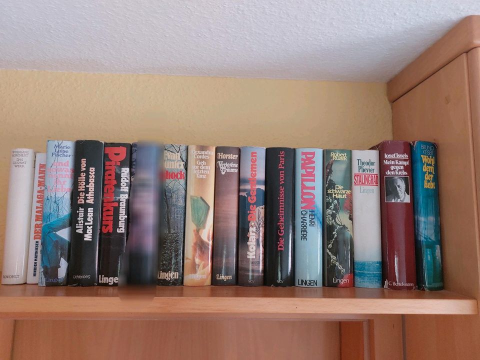 Bücher diverse, gebunden in Delmenhorst