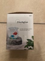 Aquarium Fischglas Fische Nordrhein-Westfalen - Hürth Vorschau