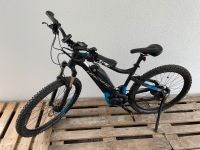 Haibike Sduro Hardseven 5.0 Baden-Württemberg - Eberhardzell Vorschau