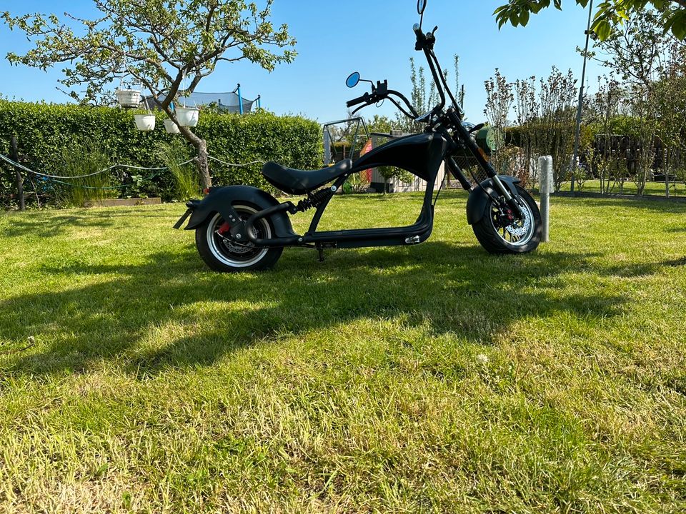 Mangosteen Elektro Chopper M1P Roller 50ccm in Braschwitz