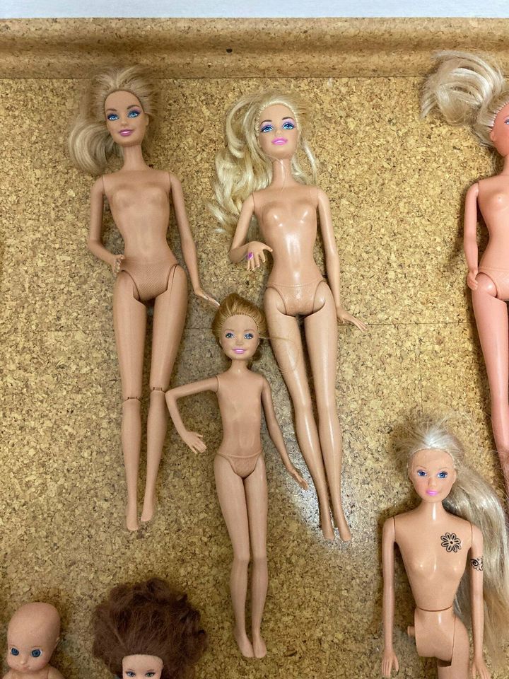 Barbie Puppen 21 Stück in Quakenbrück