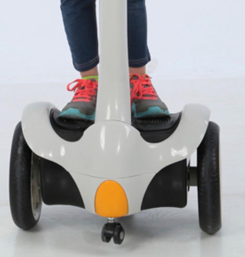 Segway rollplay sale