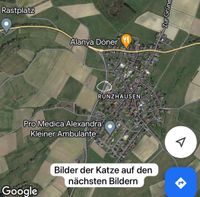 Totfund Katze 14.04.24 Runzhausen (35075) Hessen - Dautphetal Vorschau