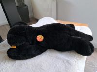 Panther schwarz Nordrhein-Westfalen - Olpe Vorschau