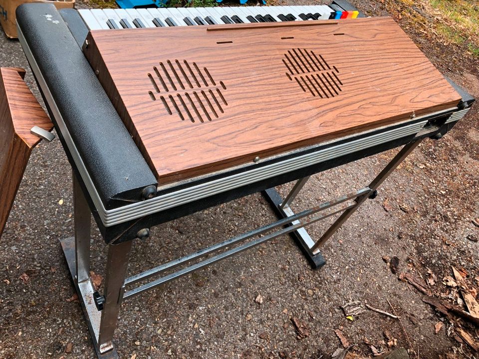 Orgel Tiger Eko 220 V in Obernkirchen