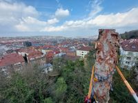 Baumpflege und Baumfällung in Stuttgart Stuttgart - Stuttgart-Nord Vorschau