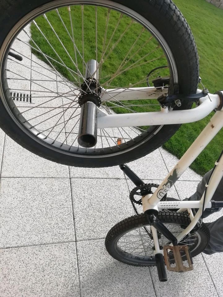 BMX Fahrrad Mator in Landau a d Isar