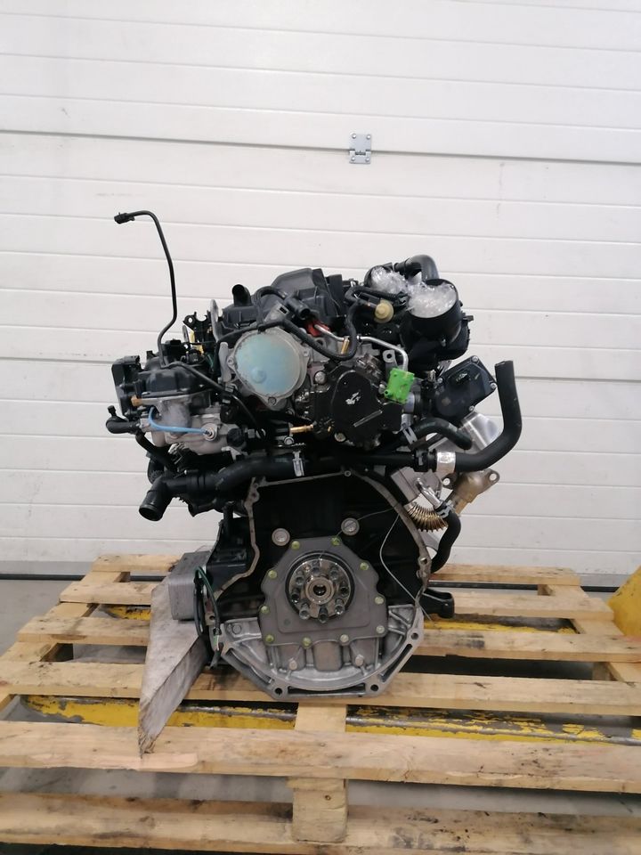 Motor Komplett Renault Trafic 1.6 DCI R9MH413  47 Tkm. in Küstriner Vorland