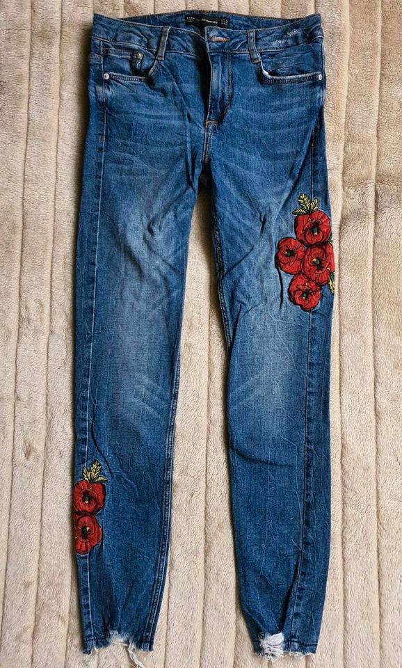 Zara Jeans Größe 34 in Pinneberg