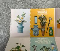 Miniverse Margeriten Hessen - Bad König Vorschau