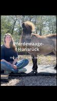 Pferdewaage Hunsrück Rheinland-Pfalz - Birkenfeld Vorschau