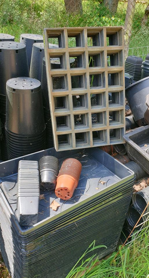 Pflanztöpfe Schalen verschiedene in Wenddorf