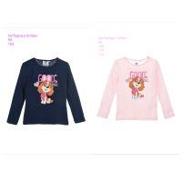 Langarmshirt Paw Patrol Mädchen 98 104 110 116 Niedersachsen - Lengede Vorschau