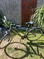 Damenfahrrad Raleigh Unico Plus 28" City Line wie neu Hessen - Babenhausen Vorschau