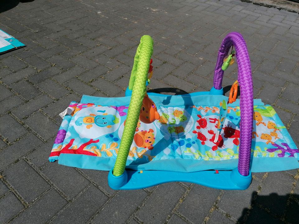 Fisher-Price baby- Krabbeldecke, Spieldecke in Beeskow