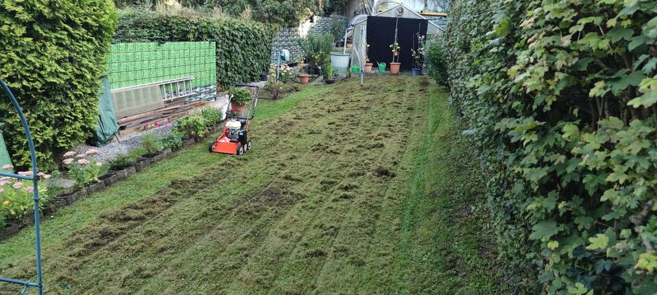 - Gartenpflege - Hecke schneiden, Rasen mähen, Baumfällung in Wipperfürth