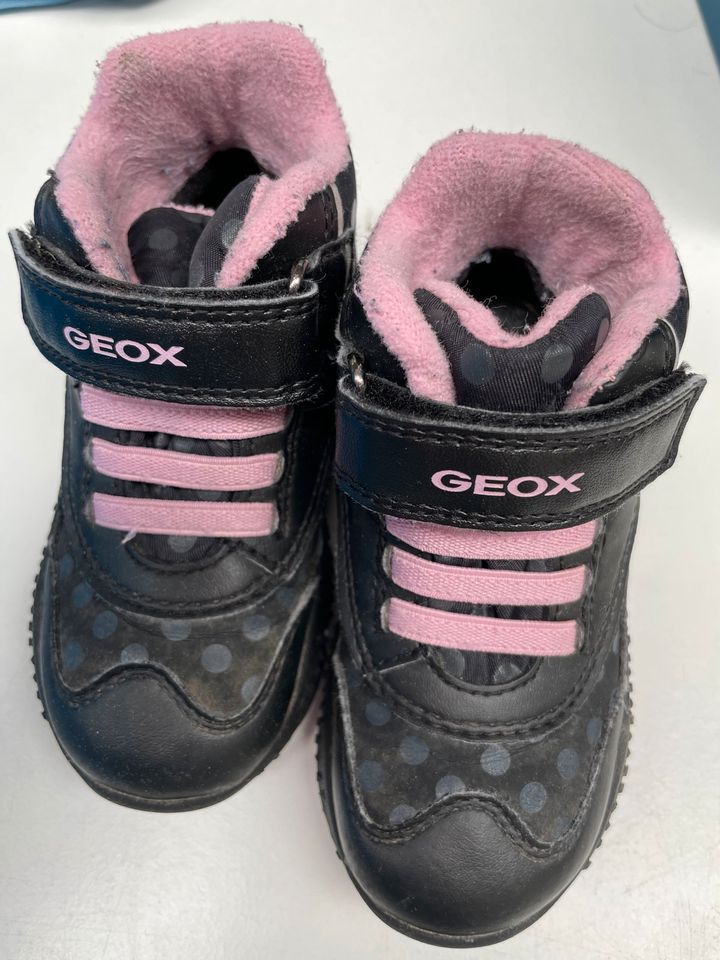 Geox Amphibiox 24 Schuhe atmungsaktiv wasserdicht in Horgau
