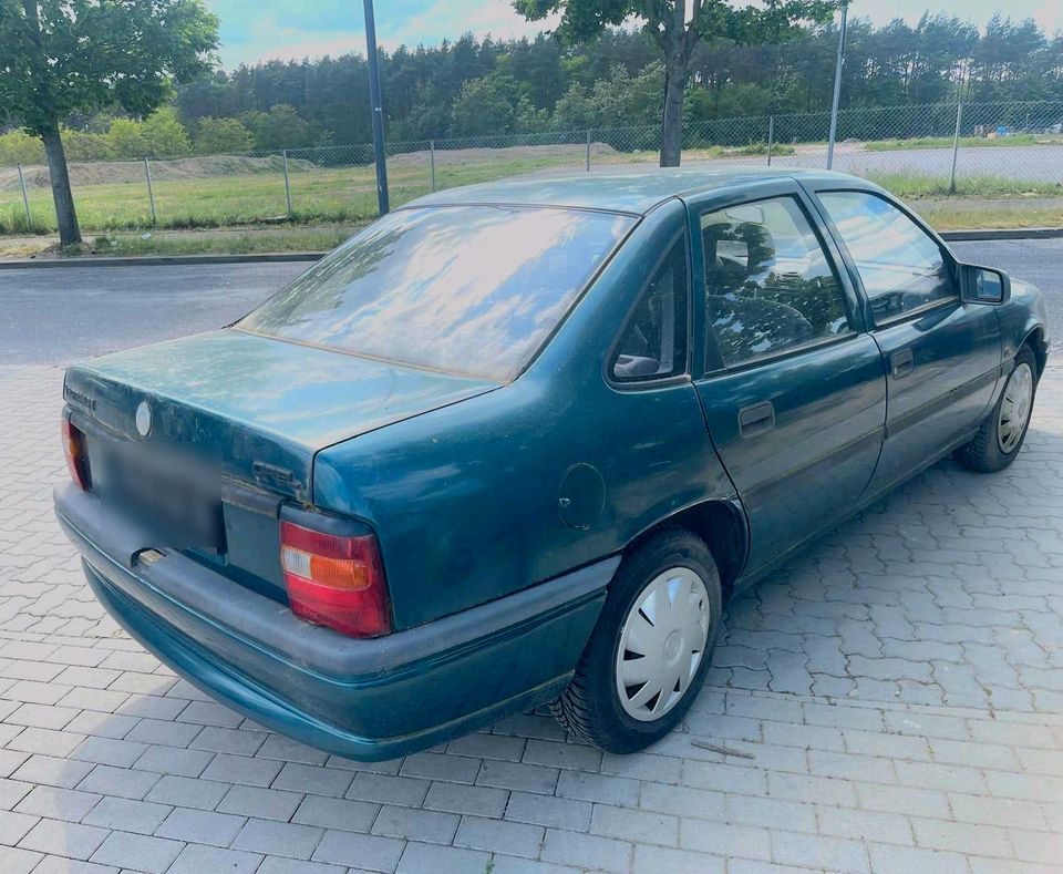 Opel Vectra 1,6 Oldtimer aus Erstbesitz in Mittenwalde