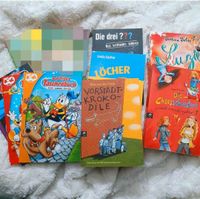 Kinder/Jugend Bücher Set Baden-Württemberg - Lauda-Königshofen Vorschau