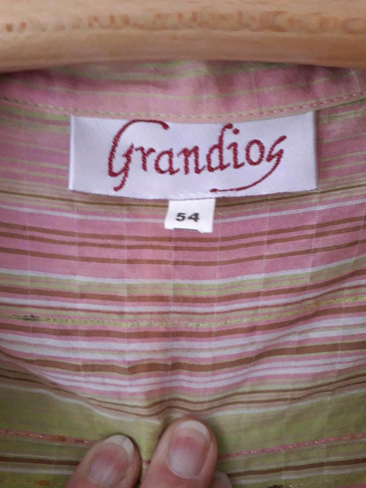 Süße GRANDIOS Bluse,TREDY Shirt,Leinenhose 44/46/48/50/52/54je ab in Duisburg