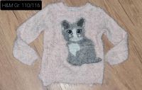 H&M Kuscheliger Katzen Pullover Größe 110/116 Niedersachsen - Uelzen Vorschau