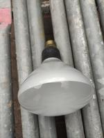 Narva Fotolampe 220V  500W DDR Dresden - Pieschen Vorschau