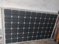 Mono  Photovoltaik Solarmodule 245 Watt Nordrhein-Westfalen - Witten Vorschau