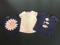 3 Shirts h&m Review 128 122 blau rosa Blume Fische Schmetterling Hessen - Lampertheim Vorschau