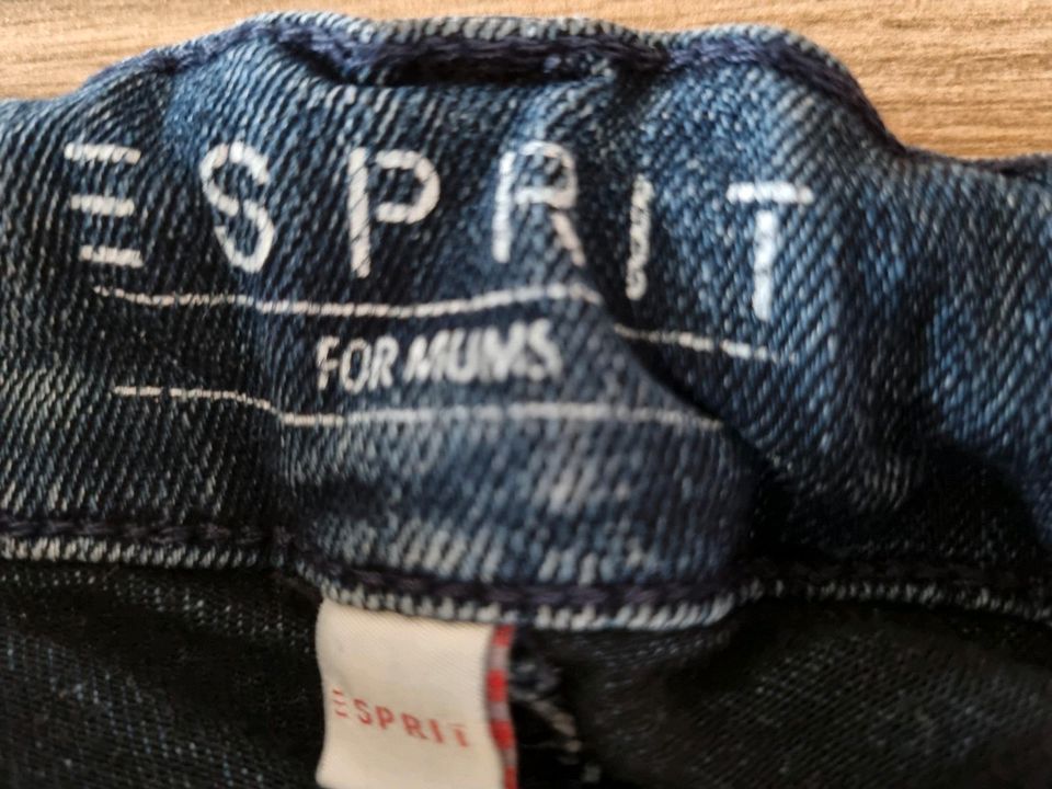 Umstandshose Esprit 38/40 Jeans Schwangerschaftshose in Rülzheim